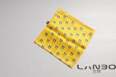 兰博涤丝丝巾DZ-17款